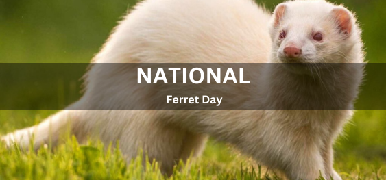 National Ferret Day [राष्ट्रीय फेर्रेट दिवस]